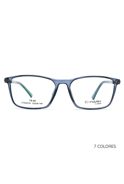 CTED0101