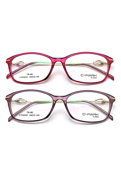 CTED0201