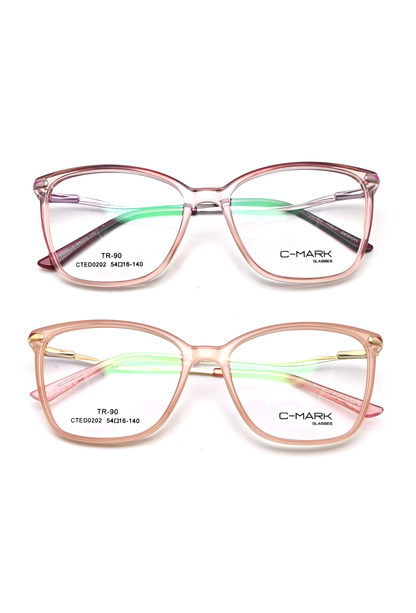 CTED0202