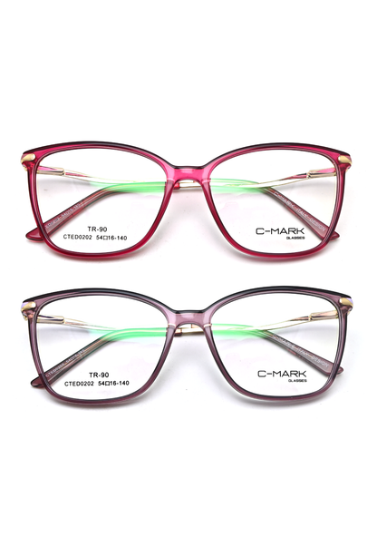 CTED0202