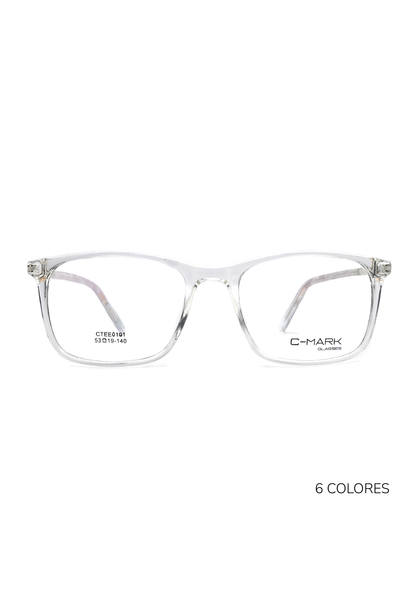 CTEE0101