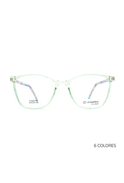CTEE0106
