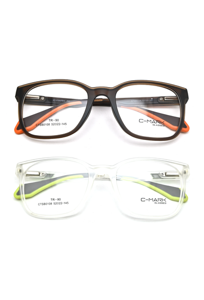 CTSB0108